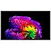 OLED83G64LW.API TV OLED Smart evo AI G6 83 Pollici 4K Ultra HD webOS 26 Dolby Atmos 165Hz - Foto miniatura 20