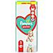 Pannolini Usa E Getta Pampers 12-17 Kg 5 (48 Unità) - Foto miniatura 2