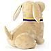 Wp Merchandise - Labrador Buddy Con Collare Patriottico Ucraino Peluche (23 Cm) - Foto miniatura 5