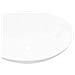Lavello in Ceramica a forma Ovale Dimensioni 40 x 33 cm Colore Bianco - Foto miniatura 2