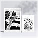 Set Di 6 Stampe Stampe Artistiche E Astratte Per L'interior Design Con Inchiostro Nero Per Il Giardino Succulento A3 & A4 Senza Cornice - Foto miniatura 2