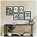 Set Di 6 Stampe Stampe Artistiche E Astratte Per L'interior Design Con Inchiostro Nero Per Il Giardino Succulento A3 & A4 Senza Cornice - Foto miniatura 4
