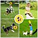 Frisbee Disco Volante per Bambini dai 5+ anni, 23.75cm - 100g - Foto miniatura 6
