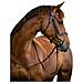 Briglie A Morso Classic In Pelle Marrone Per Cavallo 324913 - Foto miniatura 1
