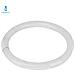 Lampada Fluorescente G10q Circolare T9 32w 6500k Tubo Anello Luce Fredda - Foto miniatura 1