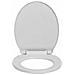 Tavoletta Wc A Chiusura Morbida Grigio Chiaro Ovale - Foto miniatura 4