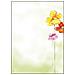 Dp123 Kunstdruckpapier (dp123)  - Foto miniatura 1