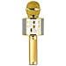Microfono Karaoke Bluetooth Con Speaker Hollywood Oro - Foto miniatura 1