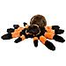 Tarantula Peluche, Animale Farcito, Peluche, Regali Per Bambini, Coccoloni 12 Pollici - Foto miniatura 1