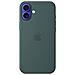 iPhone 16 Plus Silicone Case MagSafe Lake Green MYYH3ZM /A - Foto miniatura 1