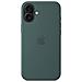 iPhone 16 Plus Silicone Case MagSafe Lake Green MYYH3ZM /A - Foto miniatura 5