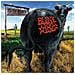 Blink 182 - Dude Ranch - Foto miniatura 1