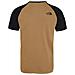 T-shirt Raglan Easy British Khaki (xl, Marrone) - Foto miniatura 2