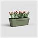 Fioriera - Plastica - Verde Cenere - Rettangolare - L49,9 X P20 X H18,1cm - - Foto miniatura 3