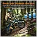 Engine Pro 3.0 Boost Bici Elettrica Pieghevole Fat Bike 20 pollici, Sospensione Completa, Sensore di Coppia, Ricarica Rapida 2h, OTA, IPX5, Blu - Foto miniatura 6