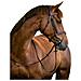 Briglie A Morso Classic In Pelle Marrone Per Pony 324911 - Foto miniatura 1