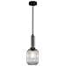Lampadario Moderno A Sospensione Nichel Satinato 1 Luce Con Paralume Trasparente, Attacco E27 - Foto miniatura 2