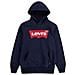 Batwing Screenprint Hoodie Felpa Bambino Tg. Anni 6a - Foto miniatura 1