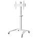Carrello Espositore Per Ufficio, 37 ""-70"", 70 Kg, Bianco - Foto miniatura 1