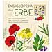 Enciclopedia Delle Erbe. Una Guida Esaustiva Per L'utilizzo Corretto Delle Piante Officinali - Foto miniatura 1