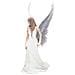 Nemesis Now - Spirit Guide By Anne Stokes 24cm - Foto miniatura 8