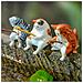 Set Di 5 Decorazioni Per Acquario, Decorazioni Per Acquario - Foto miniatura 4