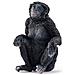 Schleich Wild Life 14875 Action Figure Giocattolo (schleich Wild Life Bonobo Female Toy Figure, 3 To 8 Years, Black [148 - Foto miniatura 1