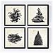 Set Di 4 Stampe Fogli Di Alberi Alberi E Arbusti Di Vintage Vecchio Sfondo Di Carta Poster Carta E Inchiostri Di Alta Qualità Senza Cornice 30x30 Cm - Foto miniatura 1