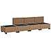 4 pz Set Lounge in Rattan con Cuscini GENDT Rattan naturale - Foto miniatura 6
