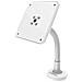 Flex Arm 12" Bianco supporto antifurto per tablet - Foto miniatura 8