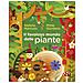 Stefano Mancuso - Il favoloso mondo delle piante - Foto miniatura 2