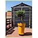 Fioriera Soleilla - Plastica - Altezza 53 Cm - Giallo - Foto miniatura 1