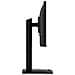 Pro MP242PMGDE Monitor PC 60,5 cm (23.8") 1920 x 1080 Pixel Full HD LCD Nero - Foto miniatura 20
