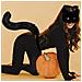 Set Costume Volpe Di Peluche Per Halloween - Include Maschera, Coda E Zampe - Foto miniatura 2