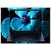 EliteBook X G1i 14 inch Notebook Next Gen AI PC Wolf Pro Security Edition Copilot+ PC Intel Core Ultra 5 228V Computer portatile 35,6 cm (14") WUXGA 32 GB LPDDR5x-SDRAM 512 GB SSD Wi-Fi 7 (802.11be) Windows 11 Pro Blu - Foto miniatura 7