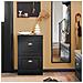 Serie Bianche Di Scarpiere Moderne Nero 54x24x83cm 2 Ante 0 Cuscino Fsr78-sch - Foto miniatura 4