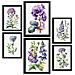Set Di 6 Stampe Stampe Naturalistiche E Botaniche A Colori Viola Con Motivi Floreali Su Sfondi Bianchi Puri Per L'interior Design A3 & A4 Senza Cornice - Foto miniatura 1