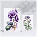 Set Di 6 Stampe Stampe Naturalistiche E Botaniche A Colori Viola Con Motivi Floreali Su Sfondi Bianchi Puri Per L'interior Design A3 & A4 Senza Cornice - Foto miniatura 2