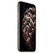 iPhone 11 Pro Max 256 GB Oro  - Foto miniatura 2