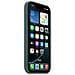iPhone 16 Pro Silicone Case MagSafe Lake Green MYYR3ZM /A - Foto miniatura 5
