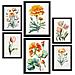 Set Di 6 Stampe Fiori Arancioni Stampe Naturalistiche E Botaniche A Colori Con Motivi Floreali Su Sfondi Bianchi Puri A3 & A4 Senza Cornice - Foto miniatura 1