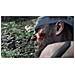 Metal Gear Solid V : The Definitive Experience Standard Tedesca, ESP, Francese, ITA, Giapponese, Portoghese, Russo PlayStation 4 - Foto miniatura 5