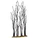 Alberelli Di Sicomoro - Stand Of Sycamore - Foto miniatura 1