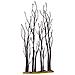 Alberelli Di Sicomoro - Stand Of Sycamore - Foto miniatura 2