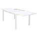 Set Tavolo Giardino Rettangolare Allungabile 160/240 X 90 Con 10 Poltrone In Alluminio Bianco Da Esterno - Foto miniatura 2