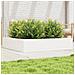Fioriera Da Giardino Bianca 110x110x23cm Legno Massello Di Pino - Foto miniatura 1