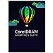 Draw Graphics Suite 365 (2023) Editor grafico 1 licenza /e - Foto miniatura 1