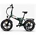 Bici E-bike 20 Fat Bike Tankan T2 Bicicletta Pieghevole Alluminio Batteria Integrata 48v 13ah Motore Ananda 250w - Verde - Foto miniatura 1