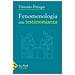 Vittorio Perego - Fenomenologia della testimonianza - Foto miniatura 1