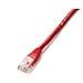 5m Cat6 RJ-45 m / m, 5m, Cat6, U / UTP (UTP)  - Foto miniatura 1